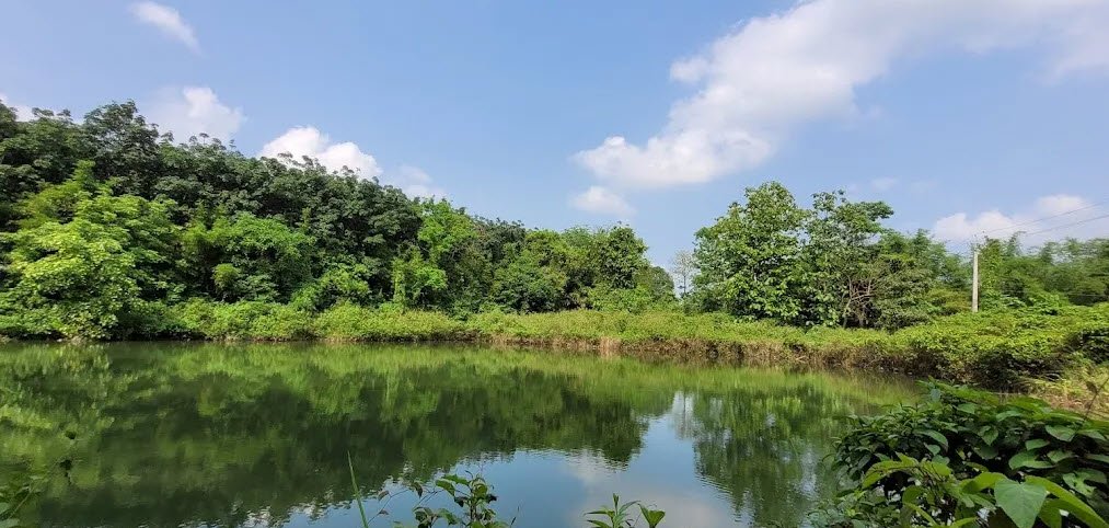 Majgaon Radha Gobinda Park, Bongaigaon, Assam - Vushii.com Majgaon Radha Gobinda Park, Bongaigaon, Assam - Vushii.com